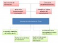 /album/filtros-de-informacion/arbolproblemasfiltro-jpg/
